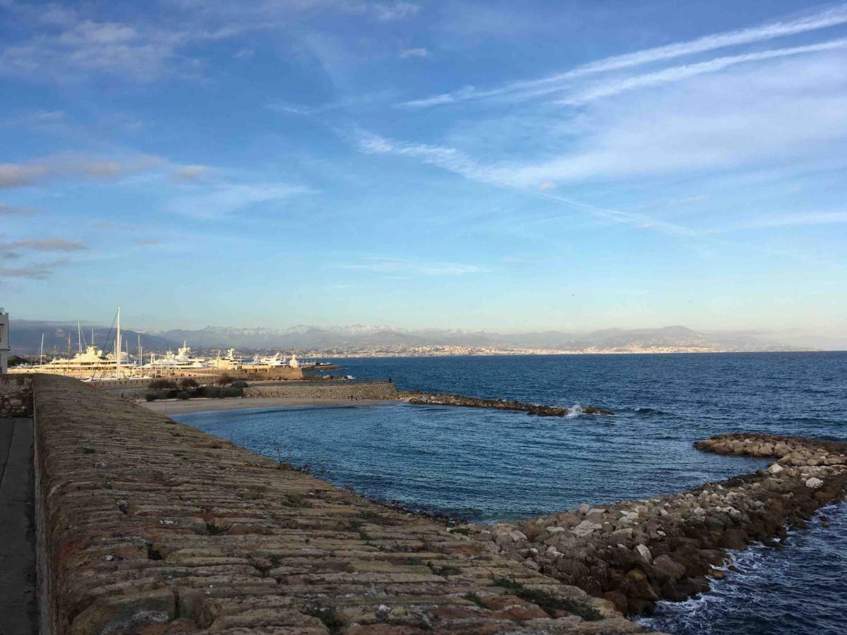 Beautiful One-Bedroom Apartment - Picasso 2 - Stayinantibes Zewnętrze zdjęcie