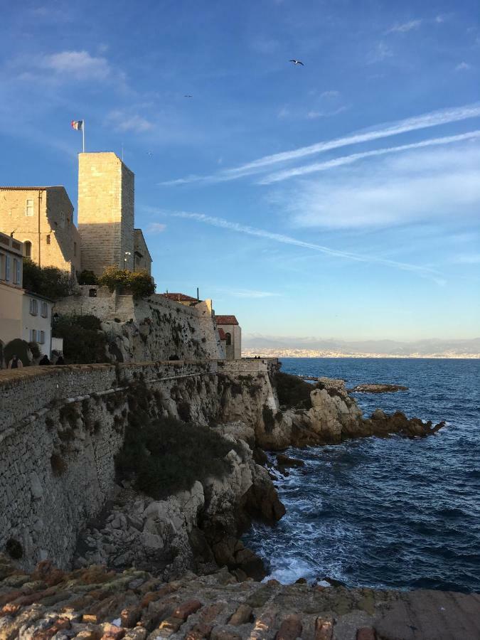 Beautiful One-Bedroom Apartment - Picasso 2 - Stayinantibes Zewnętrze zdjęcie